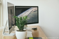 怎么建设网站才能更有特点?