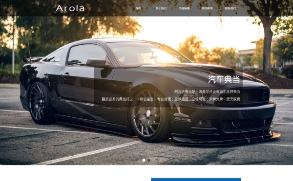 典当公司网站建设案例